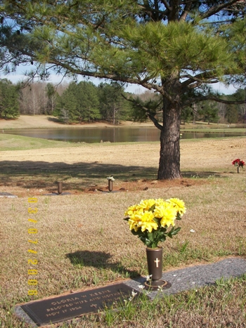 View from Dodie's grave