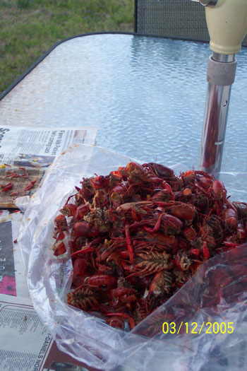 Crawfish