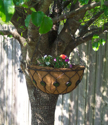 Matching Hanging Basket