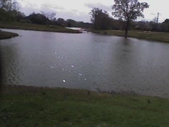 Lake in our subdivision