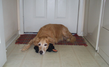 Sally waiting by the door for Tim.