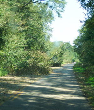 Smith County Roads