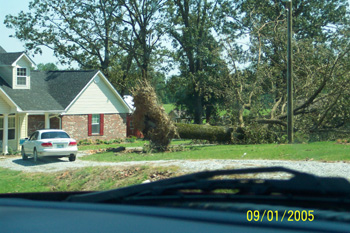 Tree Down away from a house