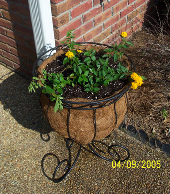 Urn Planter