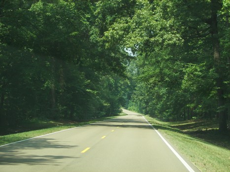 Along the southern end of the Natchez Trace Parkway