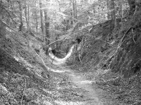 Sunken Trace, in natural color mode