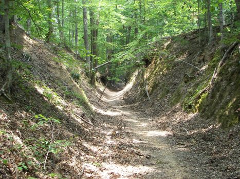 Sunken Trace, in natural color mode