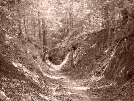 Sunken Trace, in natural color mode